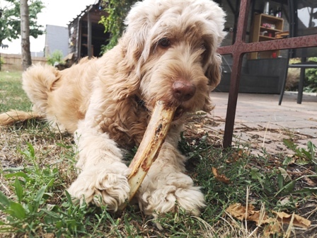 Knabbertag im Bellhaus: Jytte
