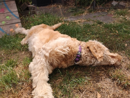 Tag 49: Jytte räkelt sich...