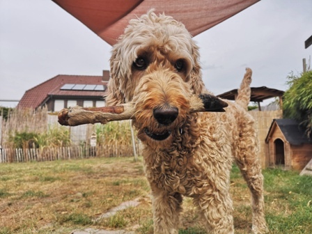 Knabbertag im Bellhaus: Minna