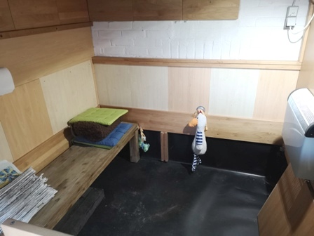 Das Welpenhaus ist noch nicht ganz fertig für die Geburt...