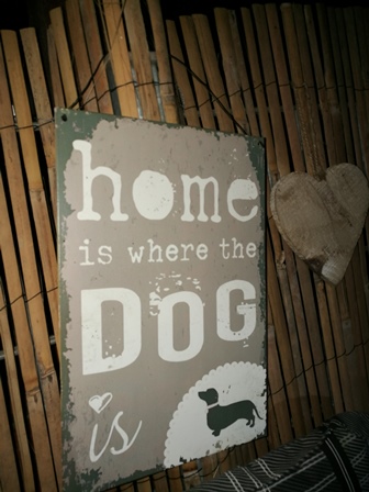 home is where the dog is...