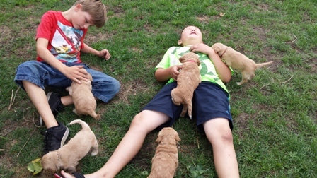 ... manchmal bringt er einen Freund mit;)