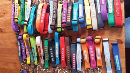 Halsbänder + Leinen