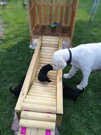 Hey, wo willst du denn hin, Kleiner?