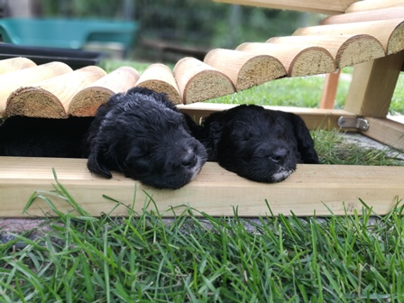 Man kann sooo schön darunter Schlafen... die PVC-Matten kamen später: