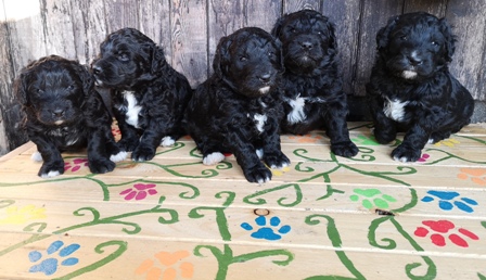 Wir finden das Podest toll !!!