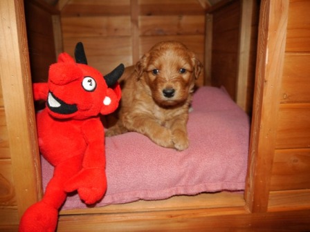 ... Emma in der Hütte;)