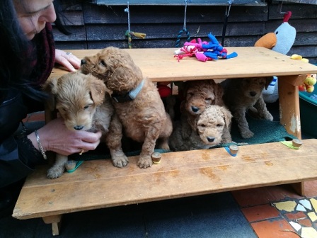 Ganz schön voll hier... aber sehr gemütlich!