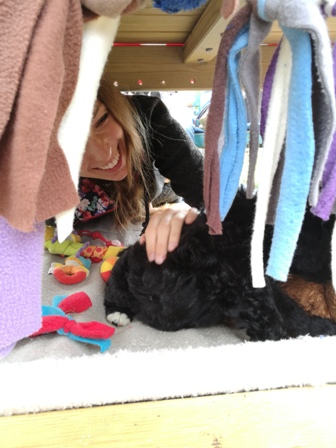 Manch ein Besucher wäre am liebsten mit hineingeklettert ;))