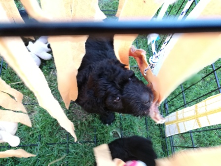 Mjam... hier gibt's auch essbares;)