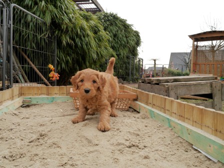 Komm, spiel und buddel mit mir!