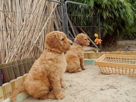 Man kann auch nur Rumsitzen;)