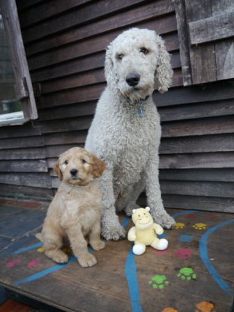 Juli mit Söhnchen Odin auf der Wippe ;)
