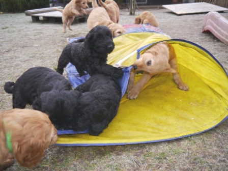 Variante 1: Haltbarkeit keine 5 Minuten ;)))