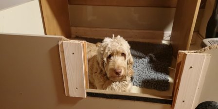 Kann ich jetzt endlich weiterschlafen??