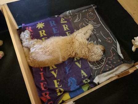 Abends in der Wurfkiste