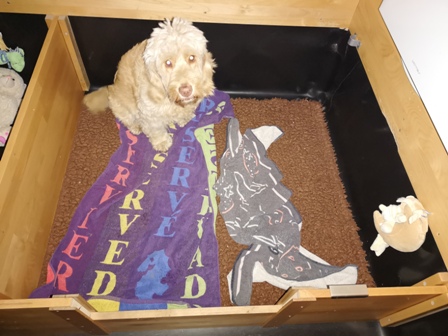 Nachts in der Wurfkiste;)