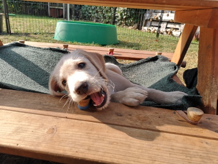 Und was zu Knabbern gibt es hier auch;)