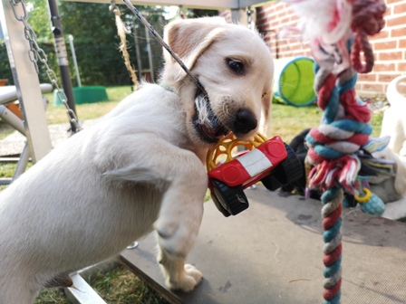 Hey, das macht aber Spaß;)