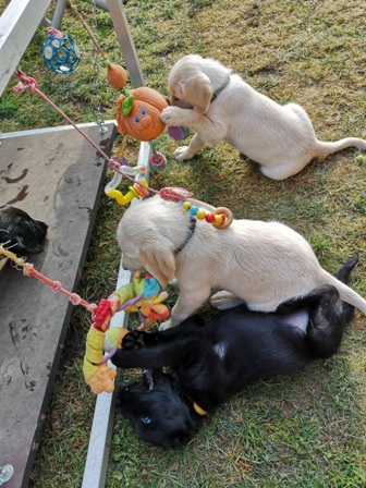 Volle Konzentration!!