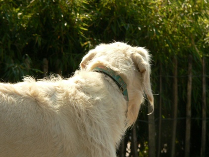 Kiwi - zeig dich doch mal!