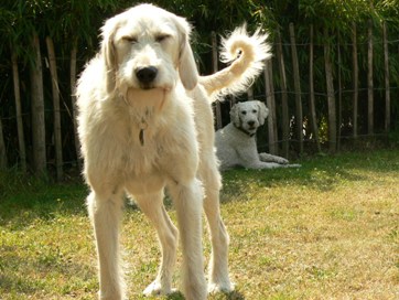 Na, geht doch und jetzt noch die Augen auf, bitte!