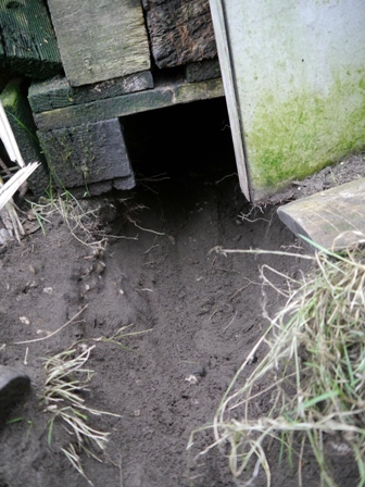 Das Loch aus dem Jahr 2017, von Jytte "ausgehoben" ;)