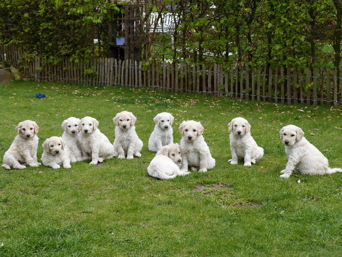 Alle 10 auf einem Bild, ein süßes Wunder!